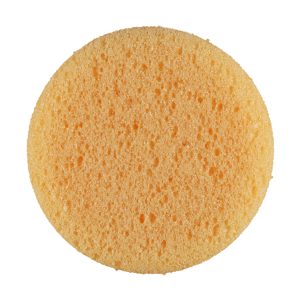 450 - Orange Tire Dressing Sponge (Bulk) - 4.5